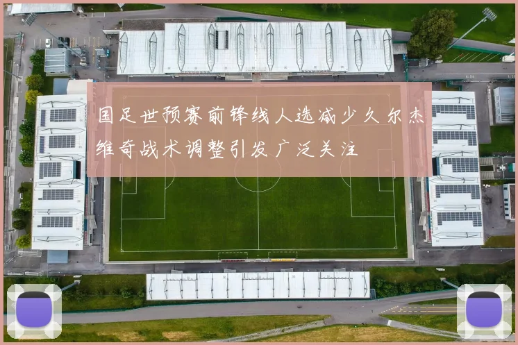 国足世预赛前锋线人选减少久尔杰维奇战术调整引发广泛关注